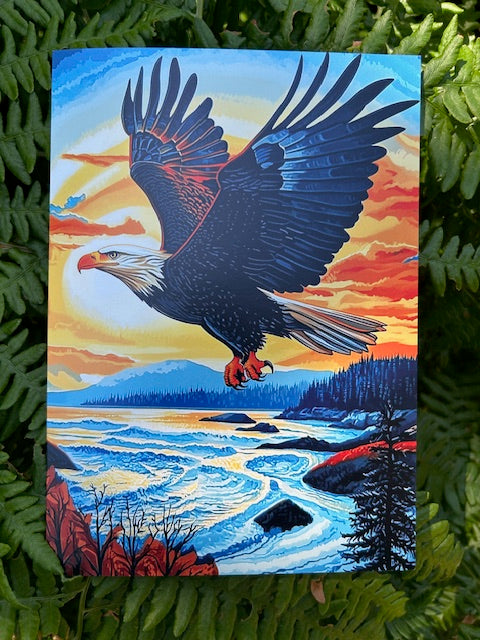 "Eagle Above the Salish Sea"